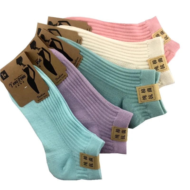 Maria's 5 pairs Unisex Socks