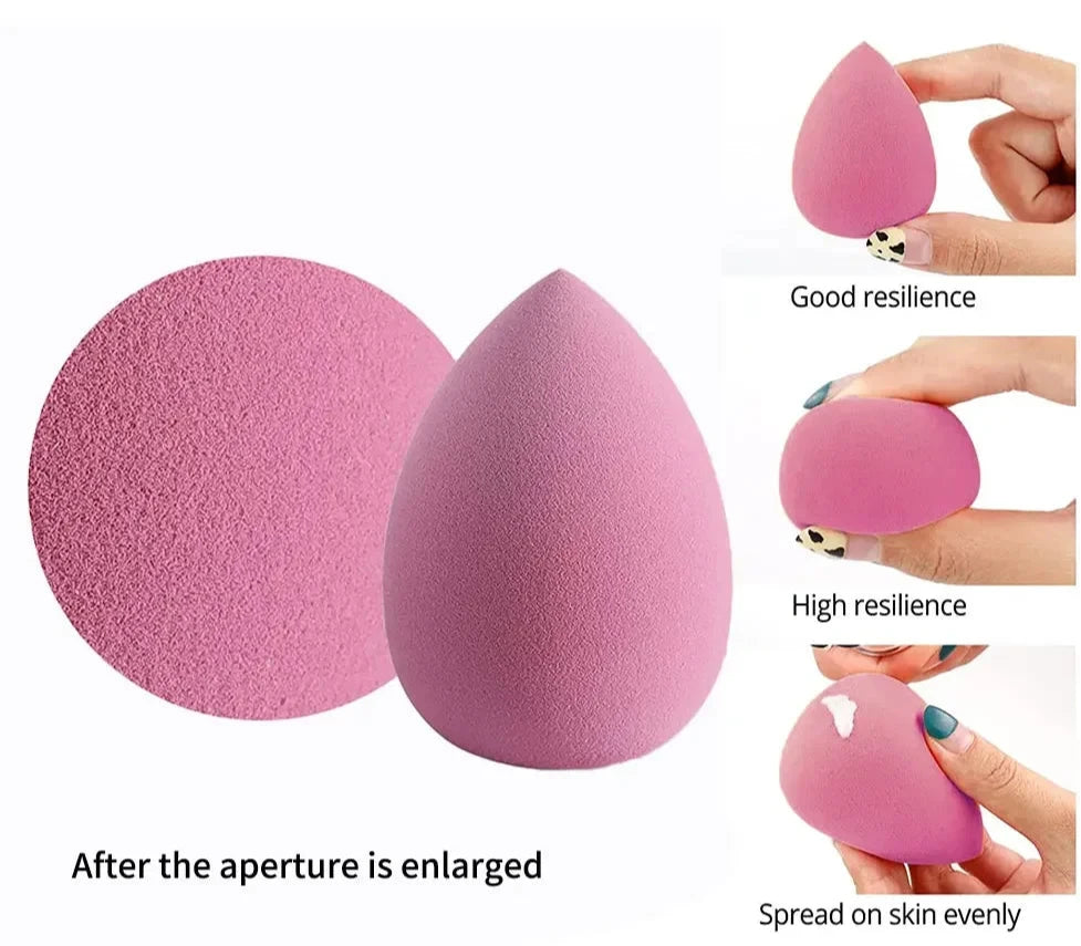 Dina's Beauty Blender Sponge, In Box, Set