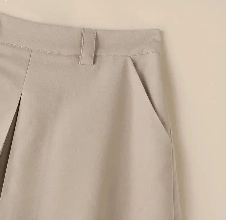 Sally's Elegant, Office, Casual, Pleated, High Waist Skirts